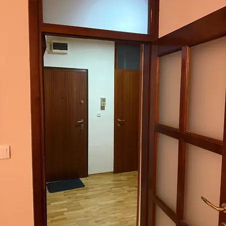 Lav Loris Sarajevo